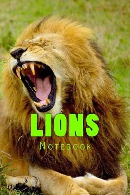 Book cover for Lions