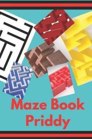 Cover of Maze Book Priddy