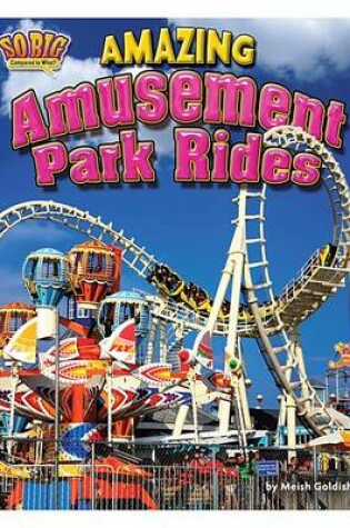 Cover of Amazing Amusement Park Rides