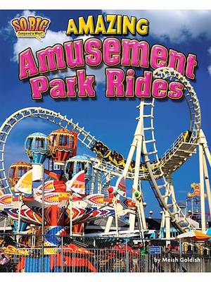 Cover of Amazing Amusement Park Rides