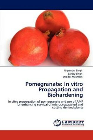 Cover of Pomegranate