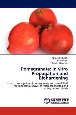 Book cover for Pomegranate