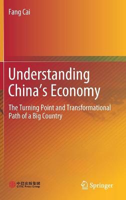 Book cover for Understanding China's Economy