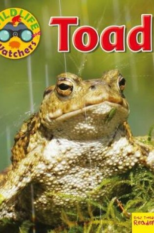 Cover of Toad