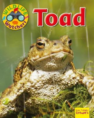 Book cover for Toad