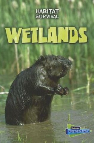 Cover of Wetlands