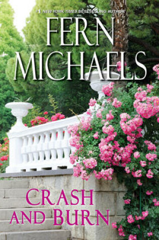 Cover of Crash and Burn