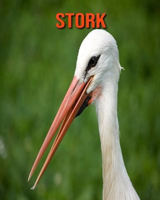 Book cover for Stork