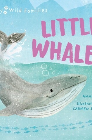 Cover of Little Whale
