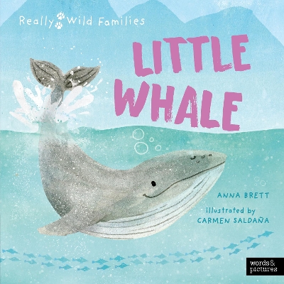 Book cover for Little Whale
