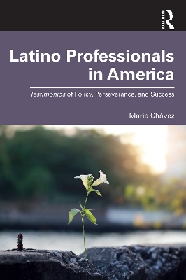 Book cover for Latino Professionals in America