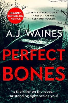 Book cover for Perfect Bones