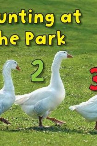 Cover of Counting at the Park