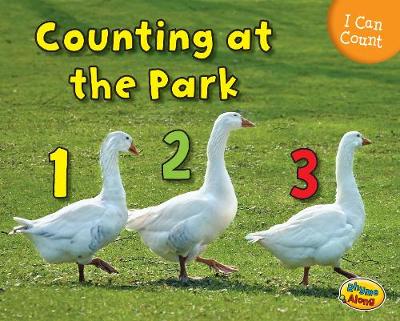 Book cover for Counting at the Park