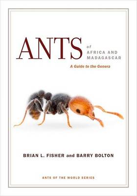 Book cover for Ants of Africa and Madagascar