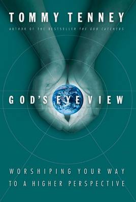 Book cover for A God's Eye View