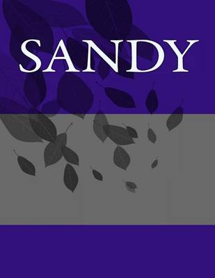 Book cover for Sandy