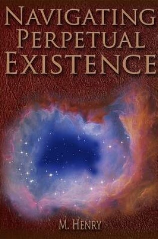 Cover of Navigating Perpetual Existence