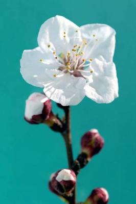 Book cover for The Almond Blossom Journal