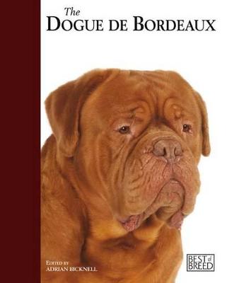 Cover of Dogue De Bordeaux