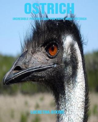 Book cover for Ostrich