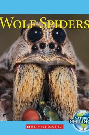 Cover of Wolf Spiders