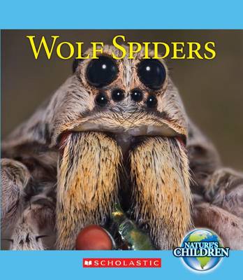 Book cover for Wolf Spiders