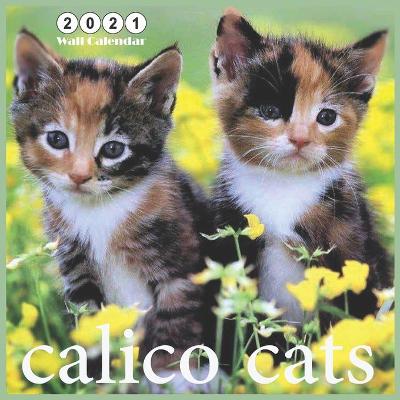 Book cover for Calico Cats