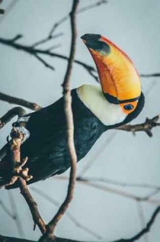 Cover of A Toucan Perched in the Forest Journal