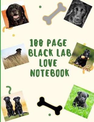 Book cover for 100 Page Black Lab Love Notebook