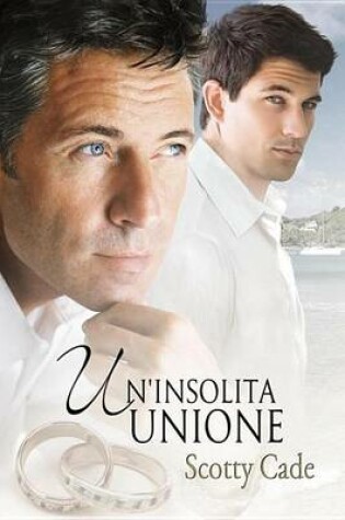 Cover of Un'insolita Unione