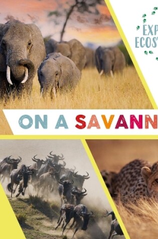Cover of Explore Ecosystems: On a Savannah