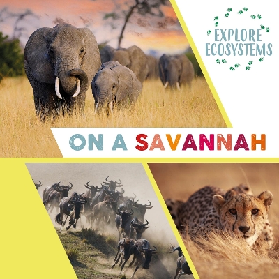 Book cover for Explore Ecosystems: On a Savannah