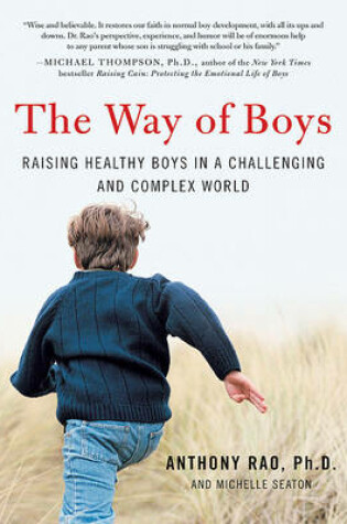 Cover of The Way of Boys