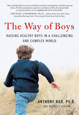 Book cover for The Way of Boys