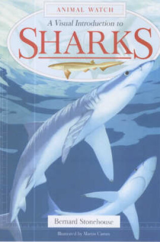 Cover of A Visual Introduction to Sharks