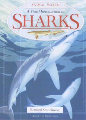 Book cover for A Visual Introduction to Sharks
