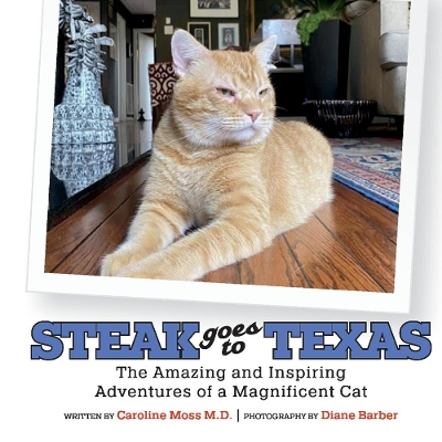 Book cover for Steak Goes to Texas