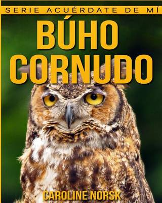 Book cover for Buho cornudo