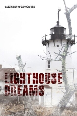 Cover of Lighthouse Dreams