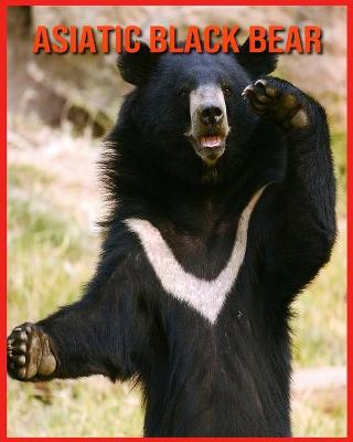 Book cover for Asiatic Black Bear