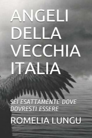 Cover of Angeli Della Vecchia Italia