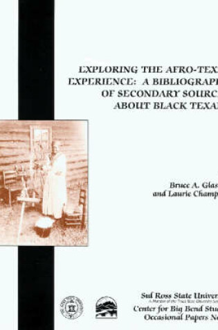 Cover of Exploring The Afro-Texas Experience