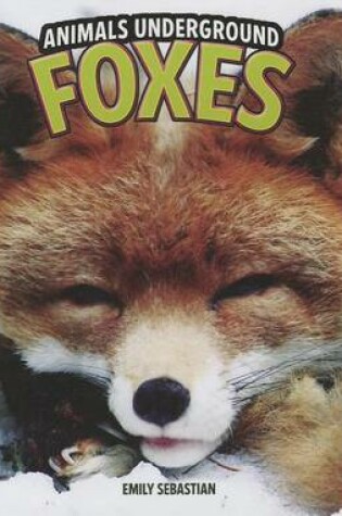 Cover of Foxes