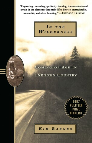 Book cover for In the Wilderness
