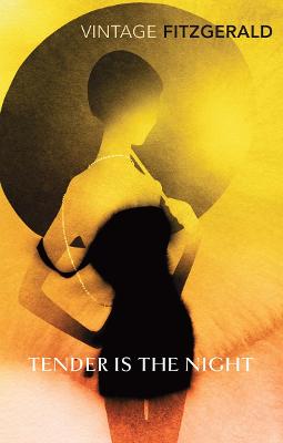 Book cover for Tender is the Night