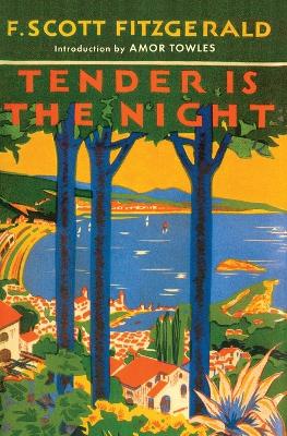 Book cover for Tender is the Night