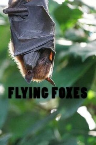 Cover of Flying Foxes