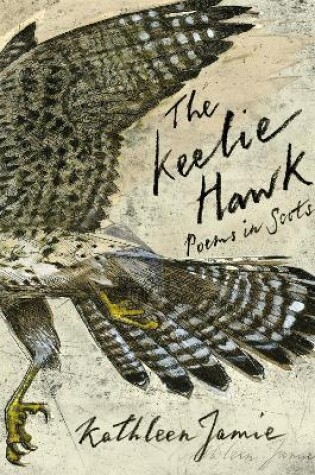 Cover of The Keelie Hawk