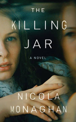 Book cover for The Killing Jar